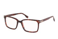 Avo Agostino col.2 Avo
