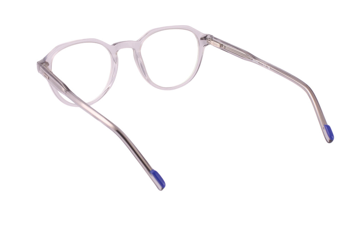 Zeiss ZS24542 TRANSPARENT LIGHT GREY (029)